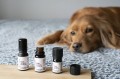 Ekome organiczny olejek lawendowy 10 ml.jpg