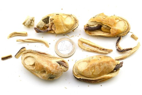 Lunderland liofilizowane całe małże nowozelandzkie 50 g - opakowanie