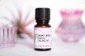 Ekome organiczny olejek eteryczny Manuka 10 ml min-min.jpg