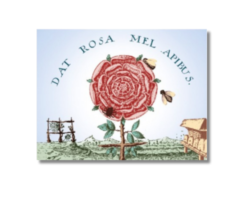 Kadzidło Różokrzyżowców DAT ROSA MEL Cztery róże 24 kostki.png