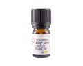 Ekome® organiczny absolut z tuberozy 2 ml - butelka z ciemnego szkła