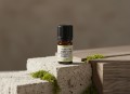 Mech dębowy organiczny absolut Ekome® 5 ml - buteleczka produktu na kamiennych bloczkach z mchem