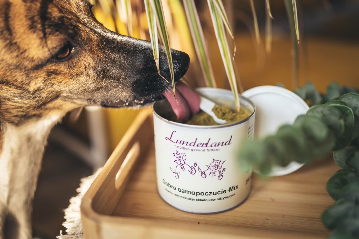 Lunderland Dobre samopoczucie–Mix podstawowy 250 g - zdjęcie lifestyle