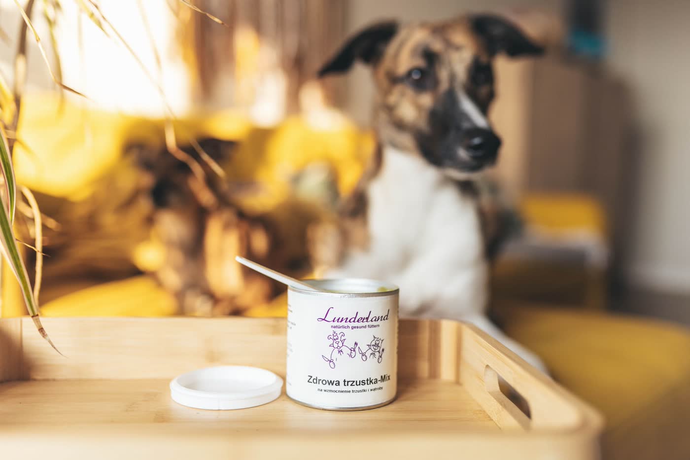 Lunderland Zdrowa trzustka-Mix 100 g - zdjęcie lifestyle