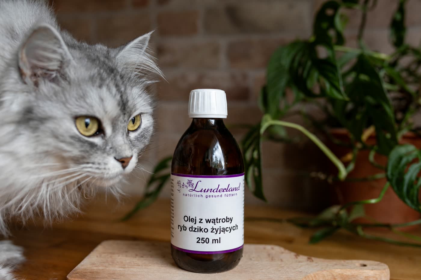 Lunderland tran 250 ml z kotem Lunderland tran 250 ml, olej z wątroby ryb dziko żyjących, obok kota