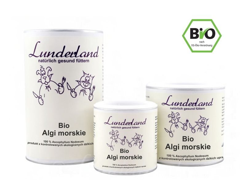 Lunderland BIO algi morskie ascophyllum nodosum 200 g - zbliżenie produktu